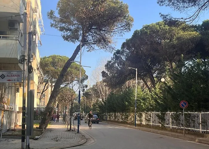 Mali Robit Your Sea Exit